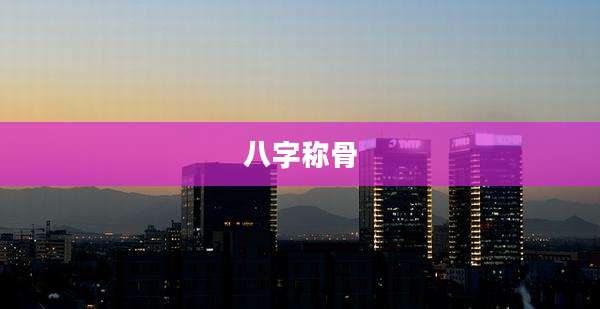 八字称骨