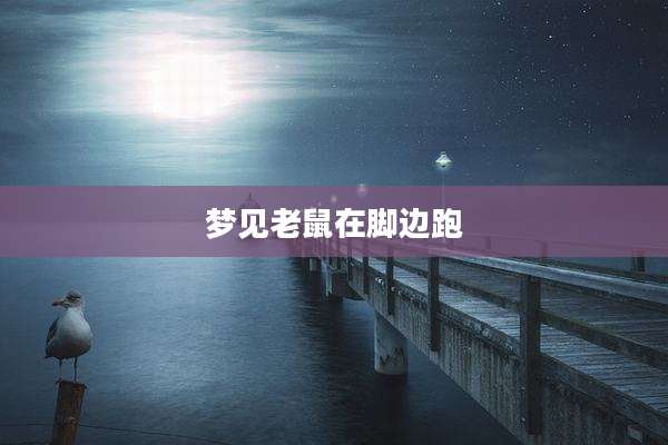 梦见老鼠在脚边跑