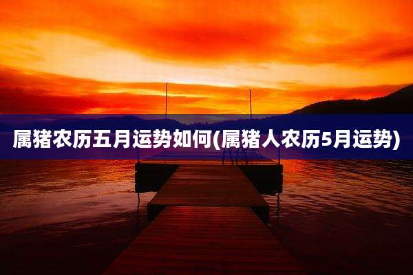 属猪农历五月运势如何(属猪人农历5月运势)