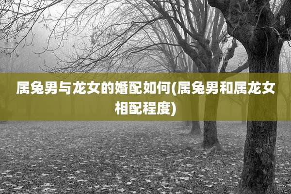 属兔男与龙女的婚配如何(属兔男和属龙女相配程度)
