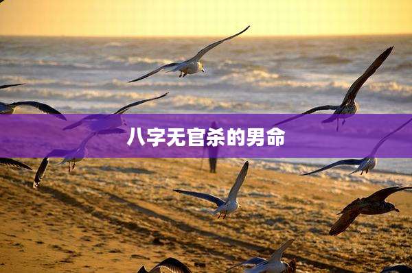 八字无官杀的男命