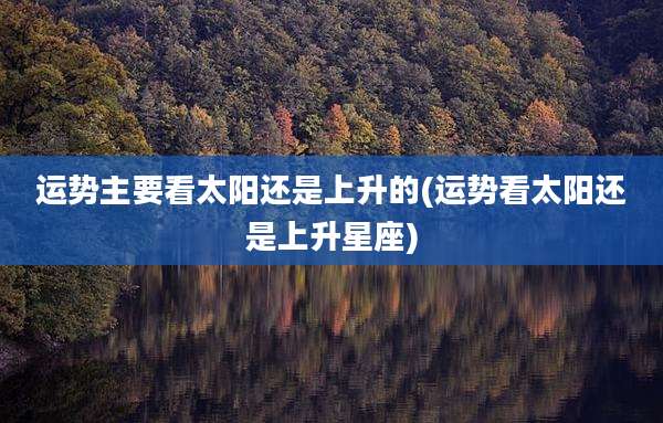 运势主要看太阳还是上升的(运势看太阳还是上升星座)