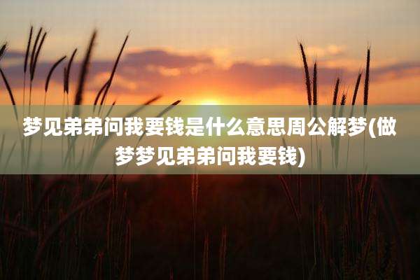 梦见弟弟问我要钱是什么意思周公解梦(做梦梦见弟弟问我要钱)