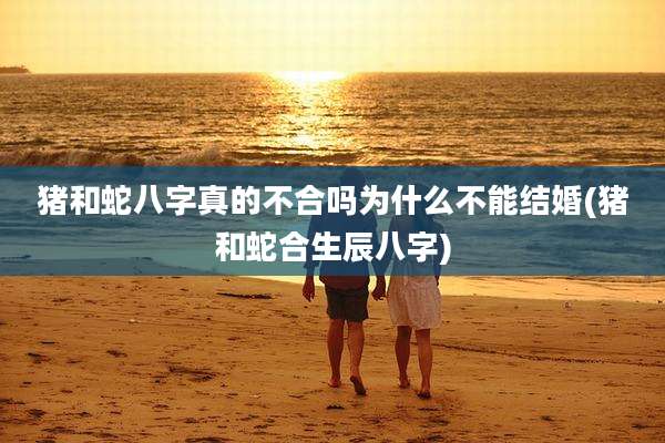 猪和蛇八字真的不合吗为什么不能结婚(猪和蛇合生辰八字)