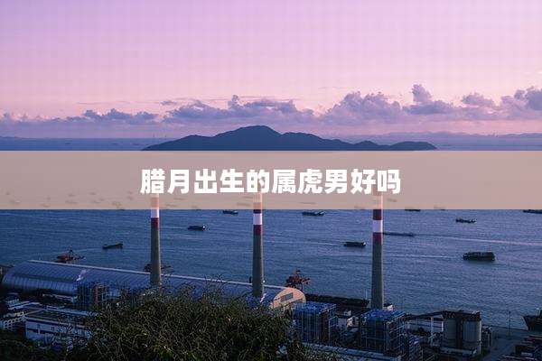 腊月出生的属虎男好吗