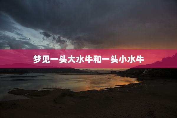 梦见一头大水牛和一头小水牛