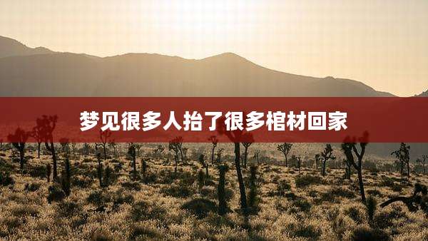 梦见很多人抬了很多棺材回家