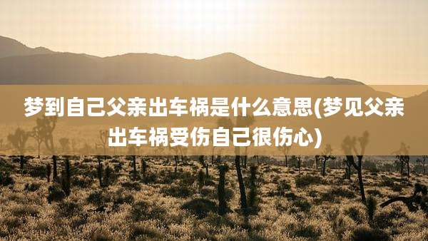 梦到自己父亲出车祸是什么意思(梦见父亲出车祸受伤自己很伤心)