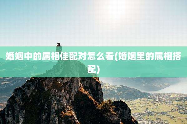 婚姻中的属相佳配对怎么看(婚姻里的属相搭配)