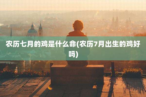 农历七月的鸡是什么命(农历7月出生的鸡好吗)
