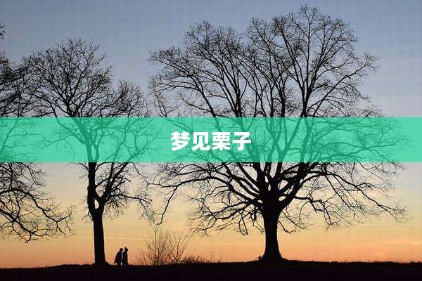 梦见栗子