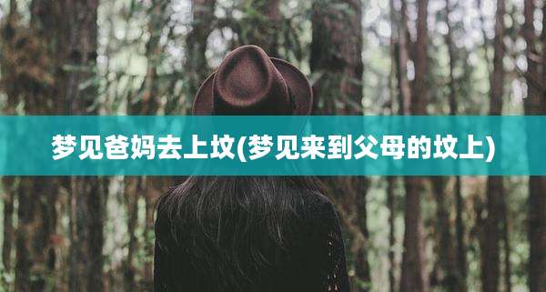 梦见爸妈去上坟(梦见来到父母的坟上)
