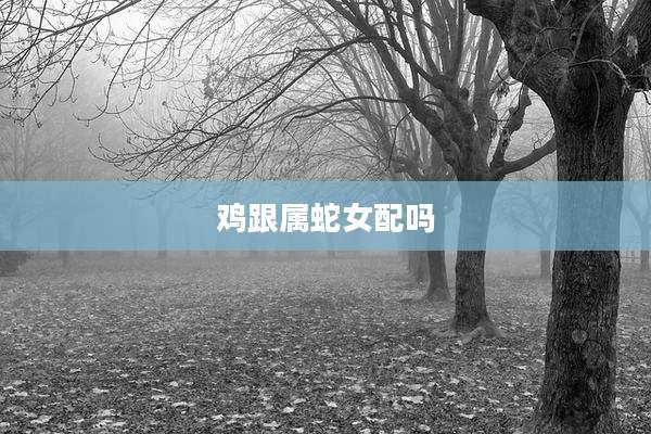 鸡跟属蛇女配吗