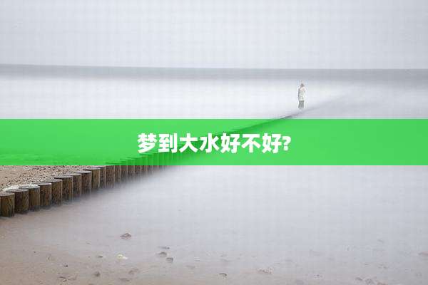 梦到大水好不好?