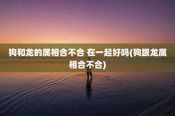 狗和龙的属相合不合 在一起好吗(狗跟龙属相合不合)