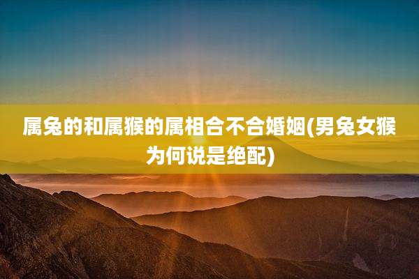 属兔的和属猴的属相合不合婚姻(男兔女猴为何说是绝配)