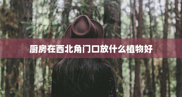 厨房在西北角门口放什么植物好