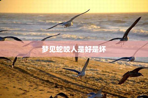 梦见蛇咬人是好是坏