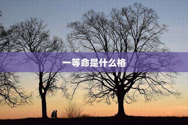 一等命是什么格