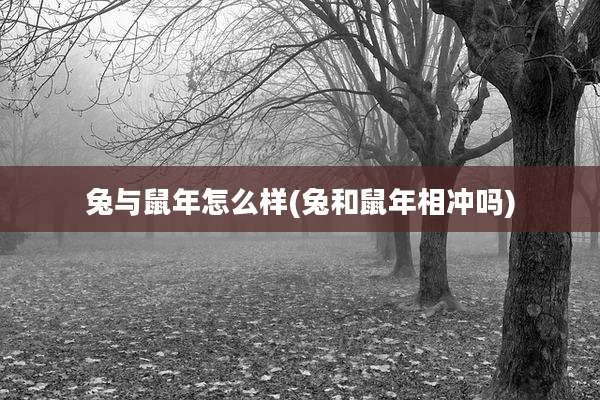 兔与鼠年怎么样(兔和鼠年相冲吗)