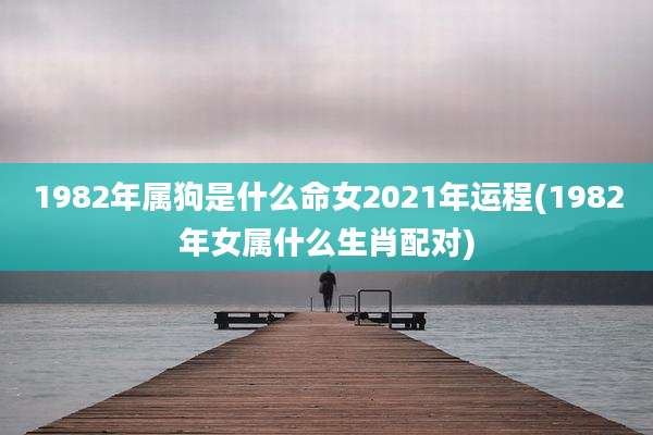 1982年属狗是什么命女2021年运程(1982年女属什么生肖配对)