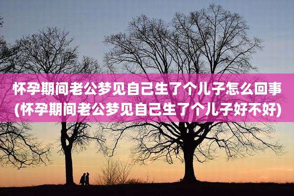 怀孕期间老公梦见自己生了个儿子怎么回事(怀孕期间老公梦见自己生了个儿子好不好)