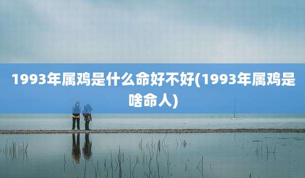 1993年属鸡是什么命好不好(1993年属鸡是啥命人)