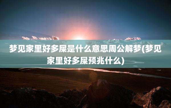 梦见家里好多屎是什么意思周公解梦(梦见家里好多屎预兆什么)
