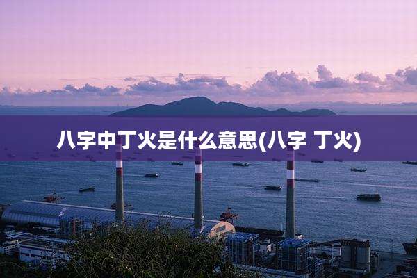 八字中丁火是什么意思(八字 丁火)