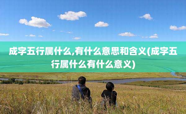 成字五行属什么,有什么意思和含义(成字五行属什么有什么意义)