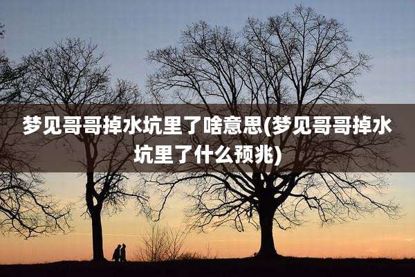 梦见哥哥掉水坑里了啥意思(梦见哥哥掉水坑里了什么预兆)