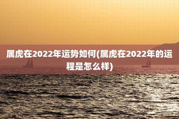 属虎在2022年运势如何(属虎在2022年的运程是怎么样)