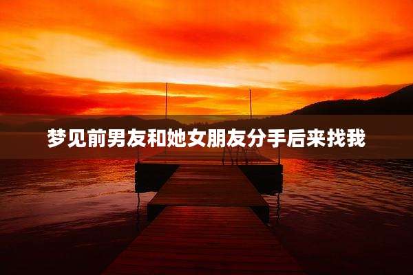 梦见前男友和她女朋友分手后来找我