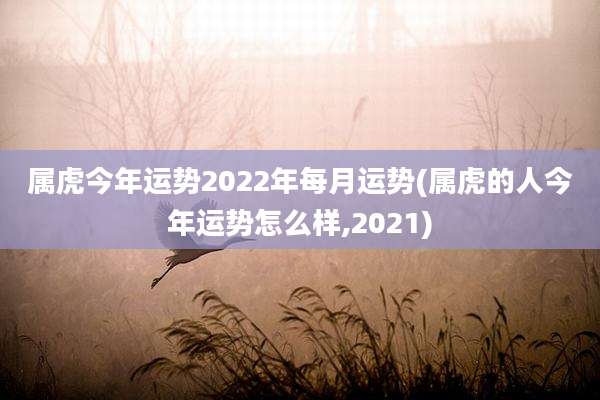 属虎今年运势2022年每月运势(属虎的人今年运势怎么样,2021)