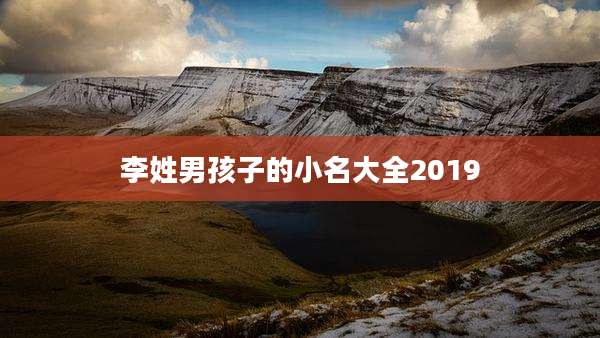 李姓男孩子的小名大全2019