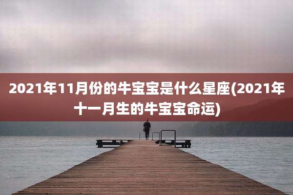 2021年11月份的牛宝宝是什么星座(2021年十一月生的牛宝宝命运)
