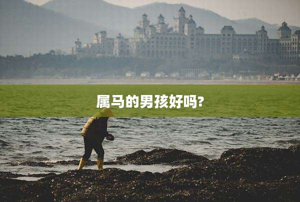 属马的男孩好吗?