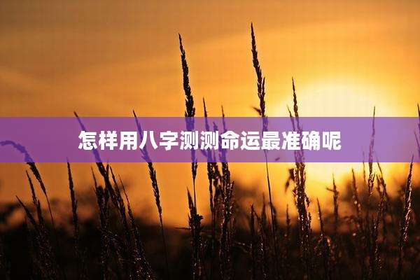 怎样用八字测测命运最准确呢