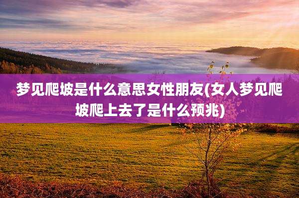 梦见爬坡是什么意思女性朋友(女人梦见爬坡爬上去了是什么预兆)