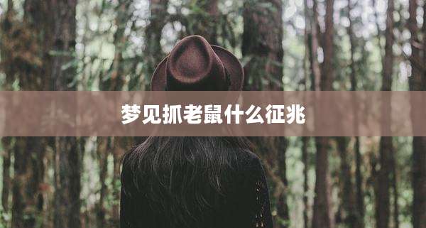 梦见抓老鼠什么征兆
