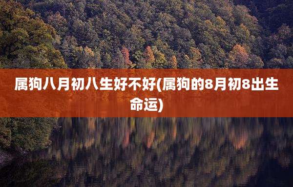 属狗八月初八生好不好(属狗的8月初8出生命运)