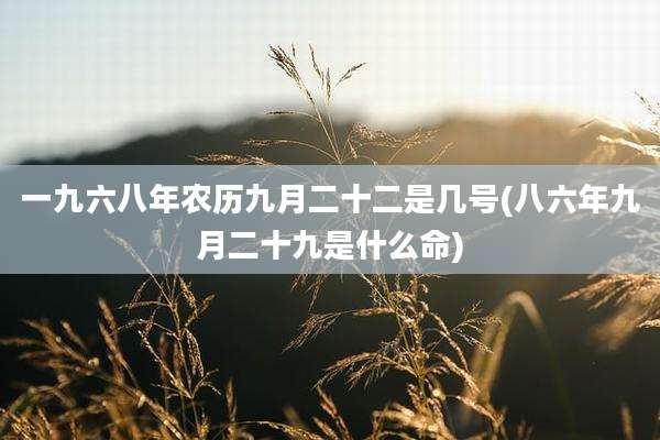 一九六八年农历九月二十二是几号(八六年九月二十九是什么命)