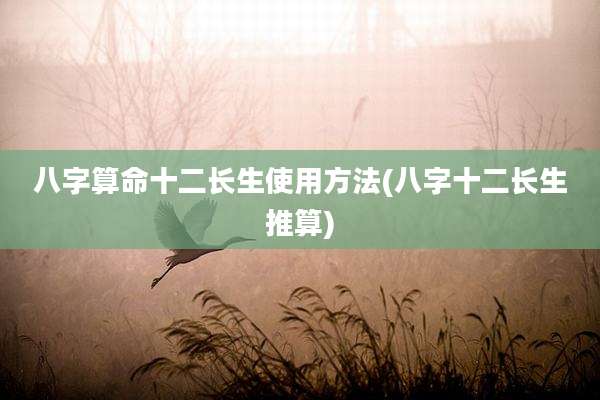 八字算命十二长生使用方法(八字十二长生推算)