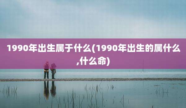 1990年出生属于什么(1990年出生的属什么,什么命)