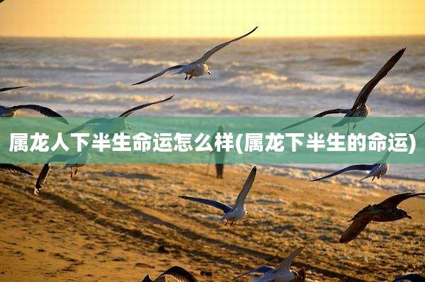 属龙人下半生命运怎么样(属龙下半生的命运)
