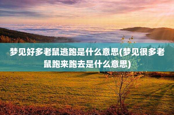 梦见好多老鼠逃跑是什么意思(梦见很多老鼠跑来跑去是什么意思)