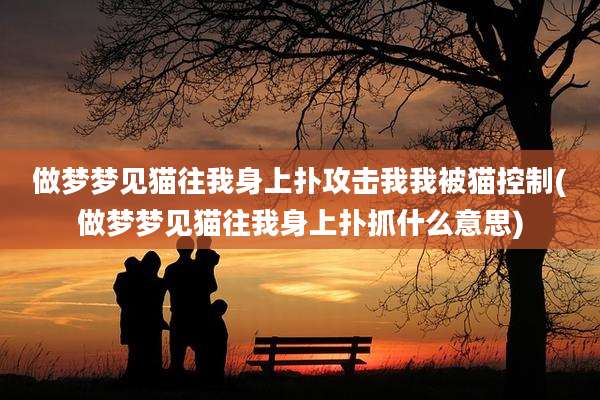 做梦梦见猫往我身上扑攻击我我被猫控制(做梦梦见猫往我身上扑抓什么意思)