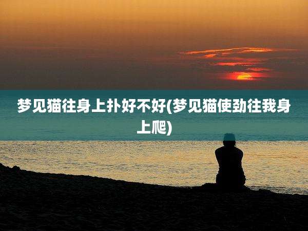 梦见猫往身上扑好不好(梦见猫使劲往我身上爬)