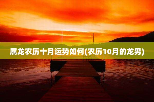 属龙农历十月运势如何(农历10月的龙男)