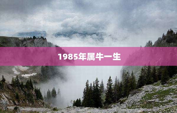 1985年属牛一生